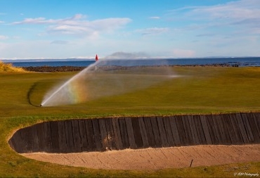 Crail 14th Green