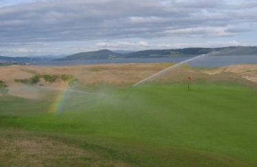 Castle Stuart (during grow-in)